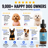 NordiVision Clear Vision drops for dogs